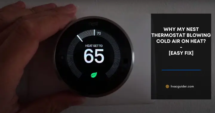 nest thermostat blowing cold air on heat